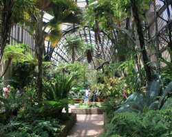 The trees at the Park were planted by a renowned A The trees at the Park were planted by a renowned American landscape architect, botanists, plantswoman, and gardener Kate Sessions. A floral feast for